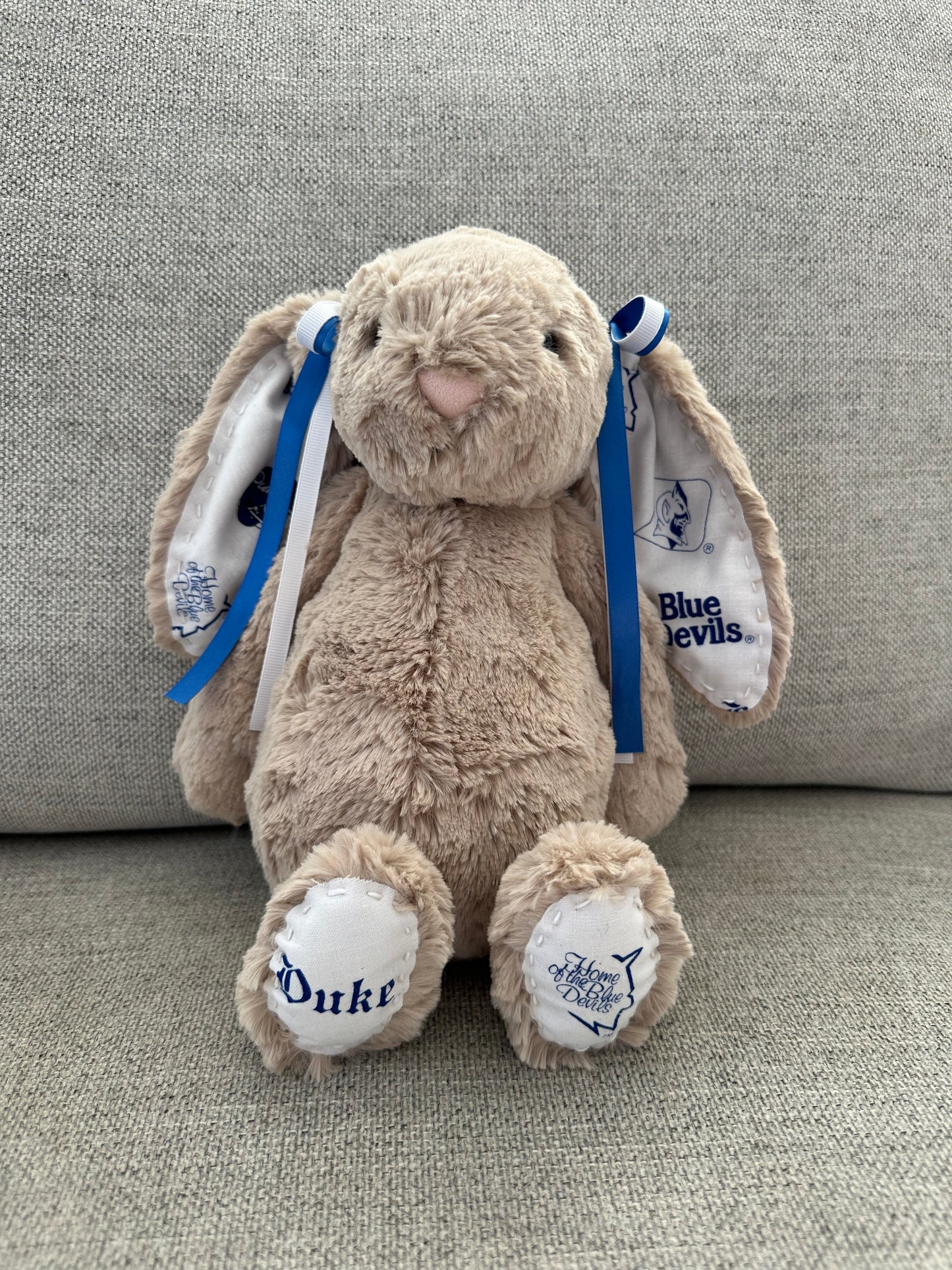 Adorable College Jellycat Bunnies 🐰