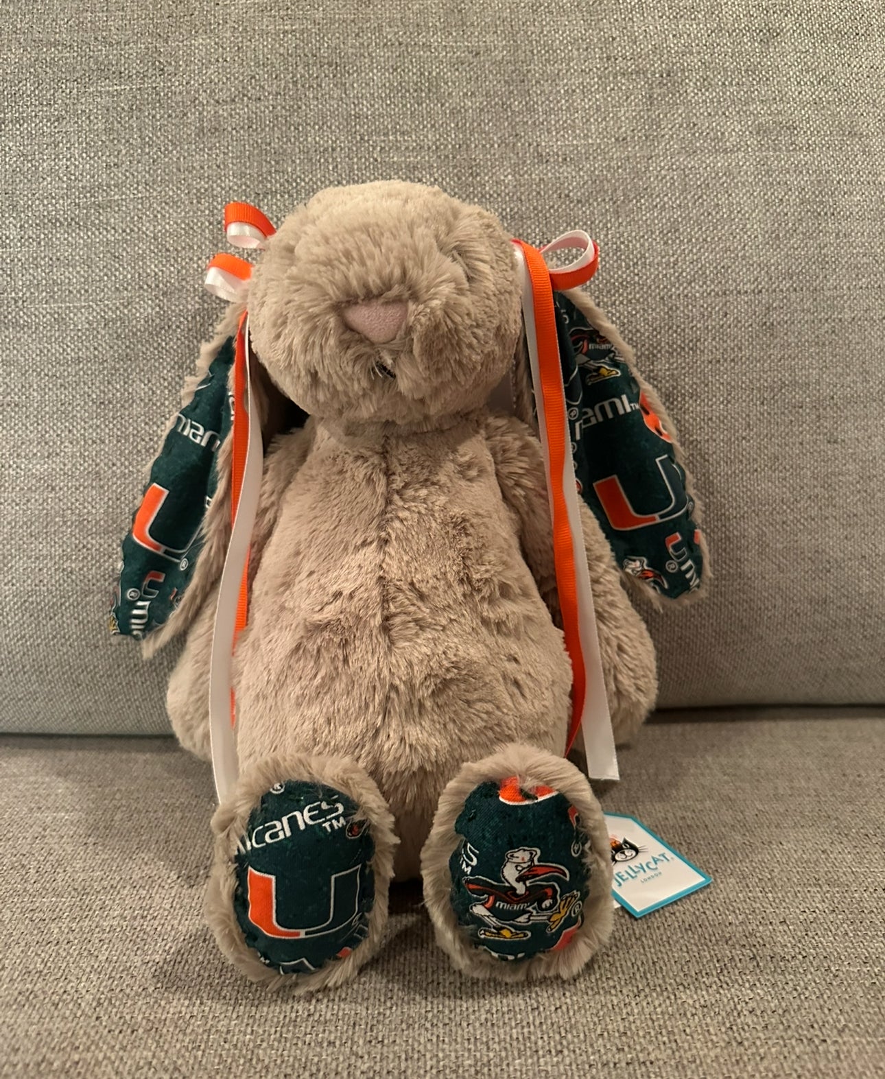 Adorable College Jellycat Bunnies 🐰