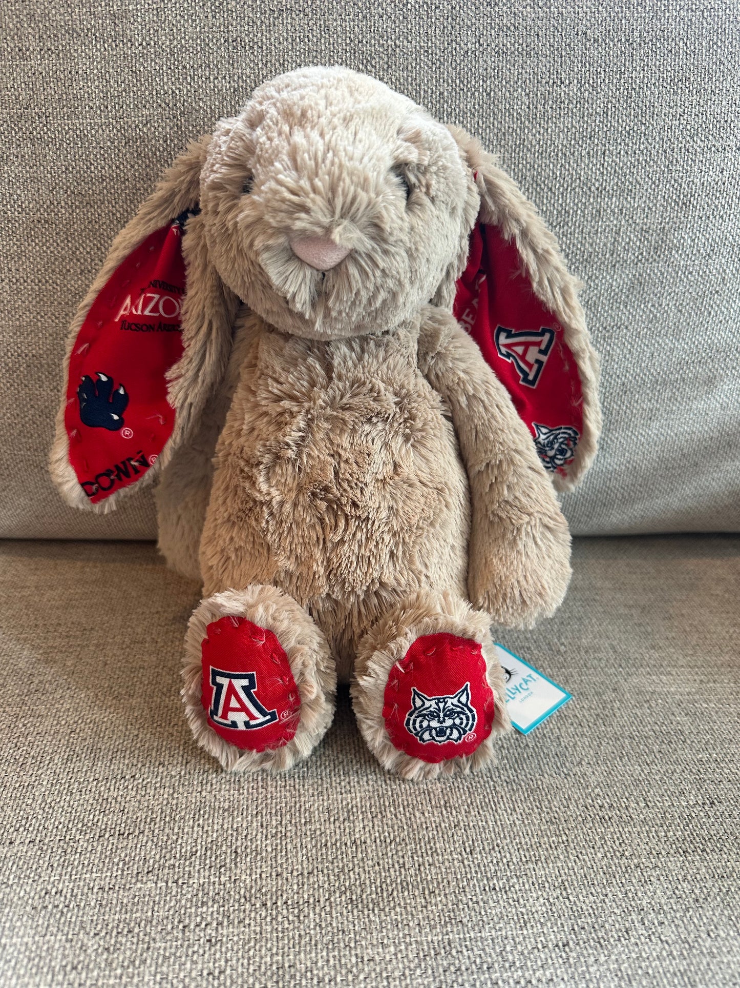 Adorable College Jellycat Bunnies 🐰