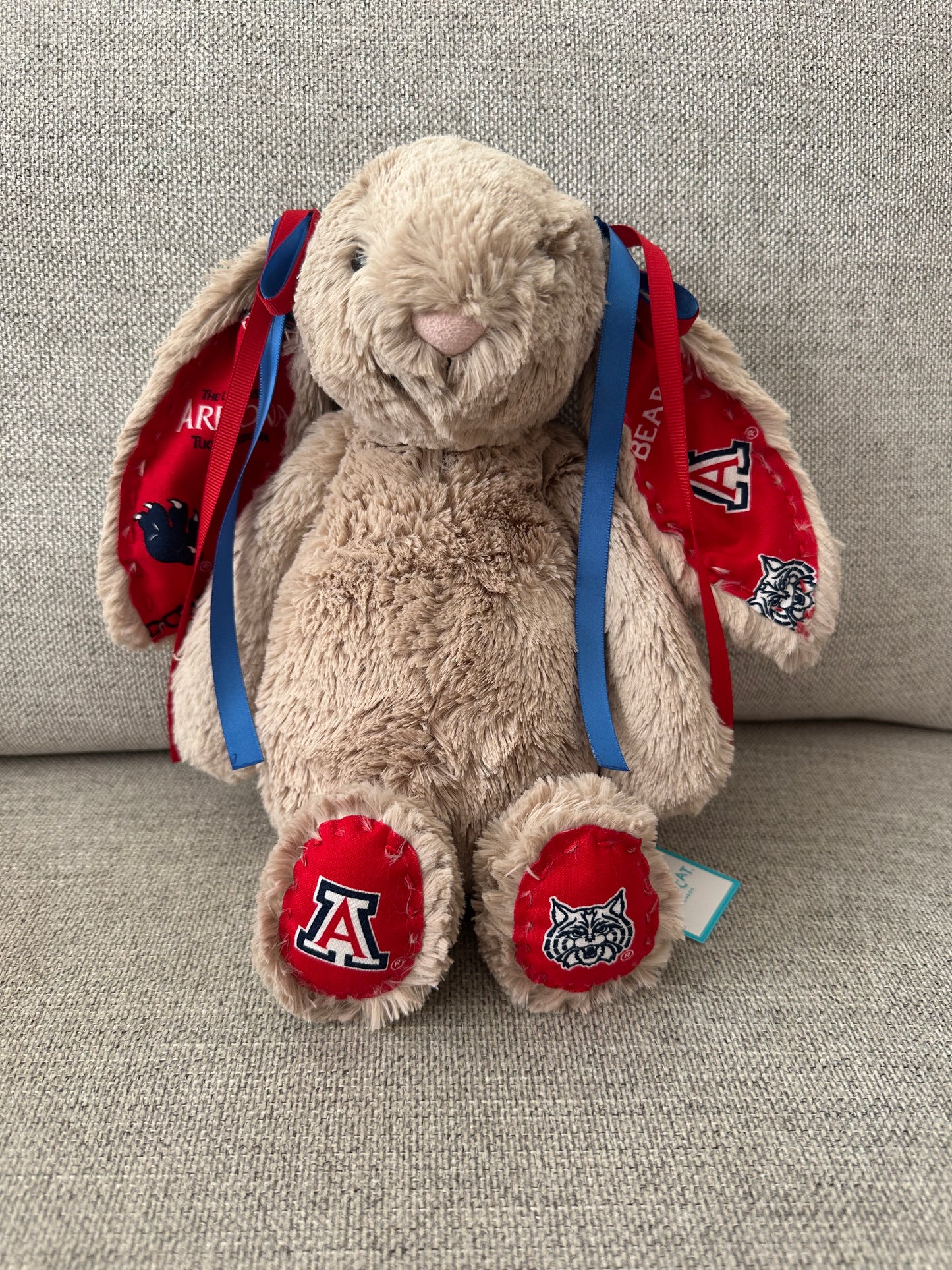 Adorable College Jellycat Bunnies 🐰