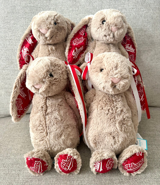 Adorable College Jellycat Bunnies 🐰